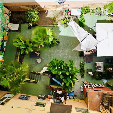 Jungle House Hostel Las Palmas de Gran Canaria Exterior photo