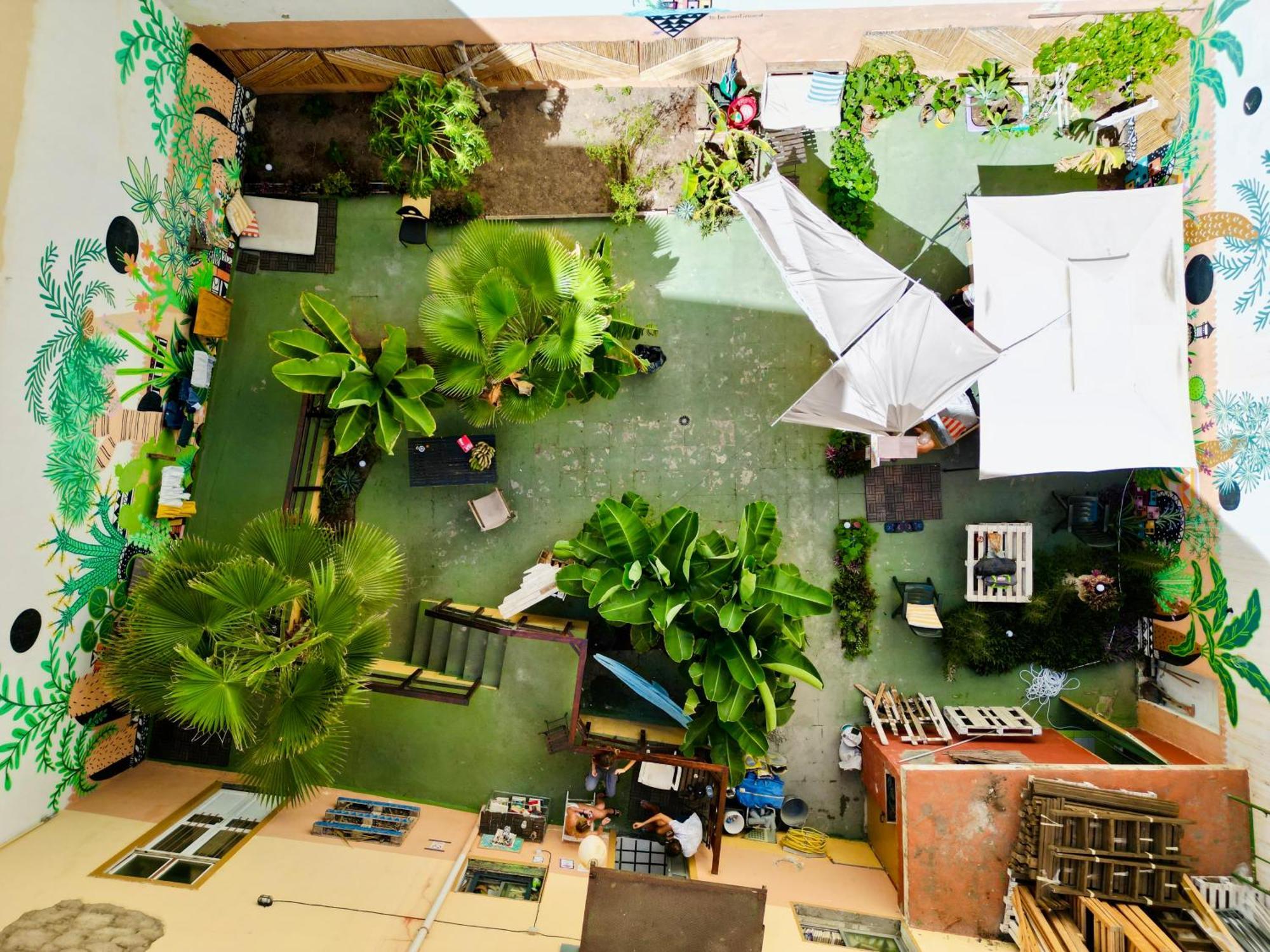 Jungle House Hostel Las Palmas de Gran Canaria Exterior photo